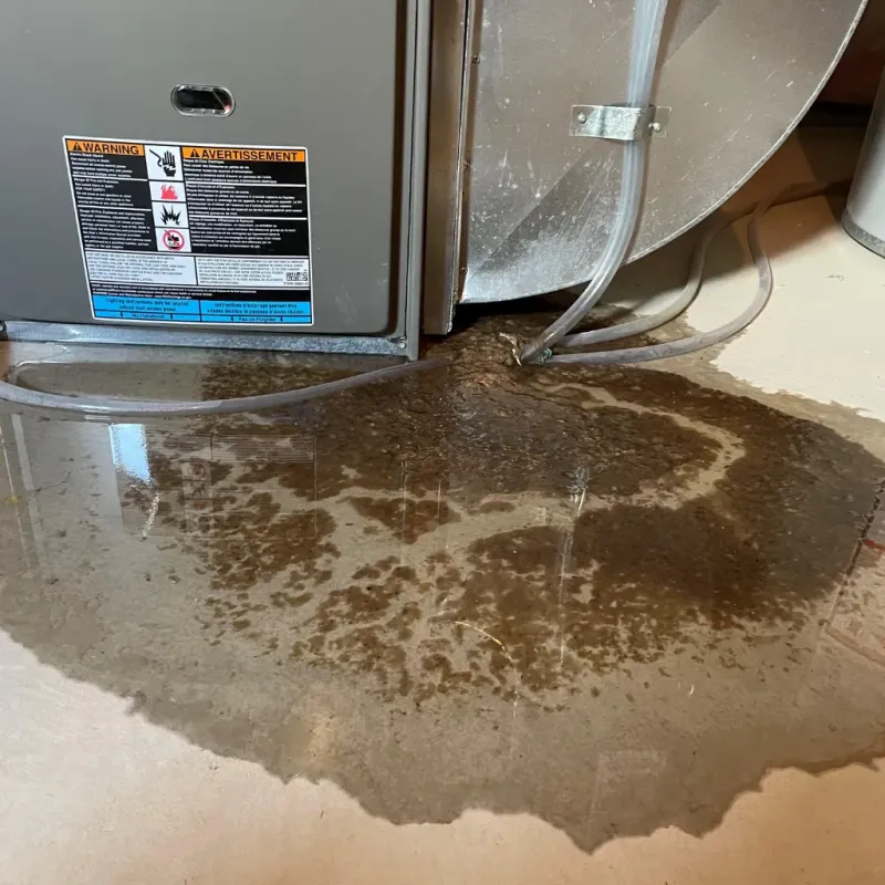 Appliance Leak Cleanup in Meeker, CO