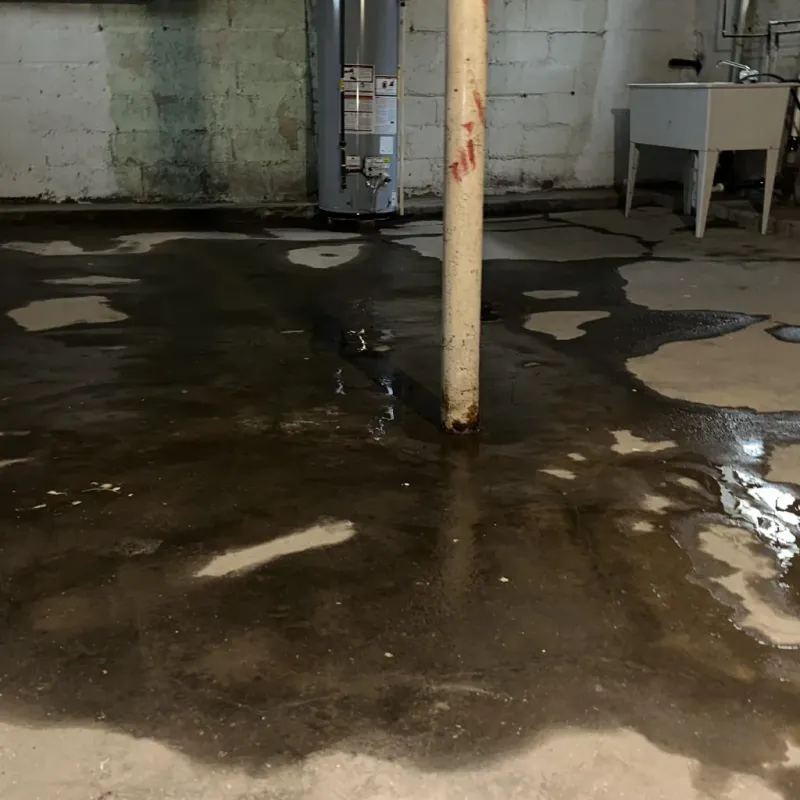 Emergency Water Extraction And Removal in Meeker, CO